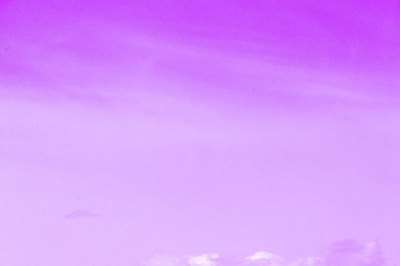 search-img